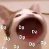 toiyeunuocvncuatoi