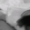 nin...am0