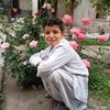 user9227236106614