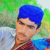 bux_ali41
