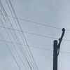 notherewha