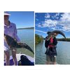 fishysarecute4