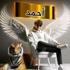 ahmed.awada01