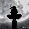 m.shakerjr10