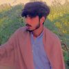 shahzadking30288