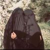ayatfatimagmail.c