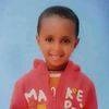 wasihun.terrf