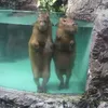 yukamitiktok