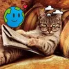 catmac015