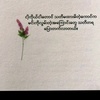 ko.san.shwe65