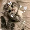 nina_8713