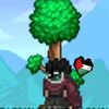 ahmad_terraria