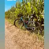 sandro_langlauf