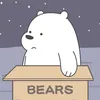 bear71170