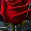 fatima.sandoval69