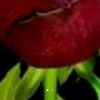 user7321616618159