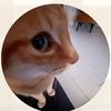 polly_2223