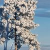 tom.johansen3