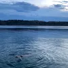 elena._bi