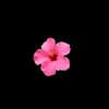 noura_963_0