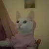 dbenejj.dbenejje