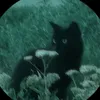 whosthisdeva887