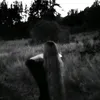 vikky_rr2