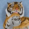 tigertailzzz