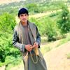 habibshah3131