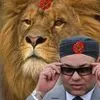 Abdo Laa