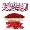 user0562431671