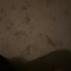 vjeko_pongracic