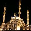 enes.altnok