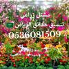 user0536081509