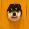 vbbzqfpupg499
