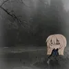 kiroksi