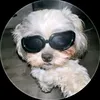 drex_diferent