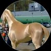 user803275718768