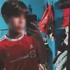 htss_ale