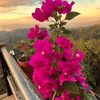 yami_10.com
