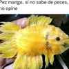 abrahan.escobar5