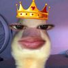 aurraqxzie