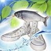 david_hola432