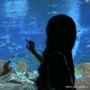clarissa_3719