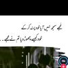 zulqur84
