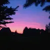nikt_121