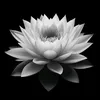 phuongloan87_