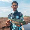 topik_321