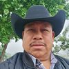 marcos.dominguez266
