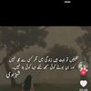 nasreen7910